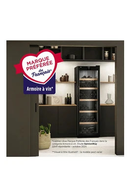 Cave de vieillissement Liebherr WSBL4601-20